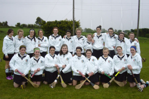 2011 U14 Camogie County Champions 