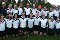 2015_Camogie_u14_county_final_team
